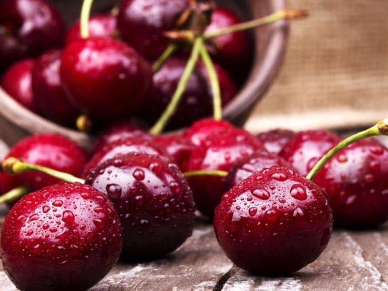 Вишня купить саженцы из питомника в Воскресенске